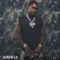 Shallipopi – Searching 4 Me